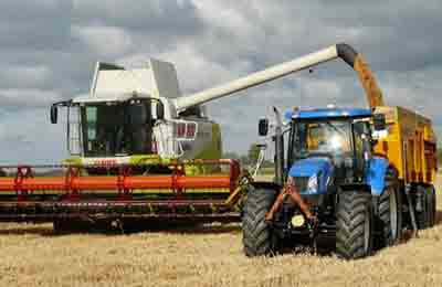 農業致富新技術